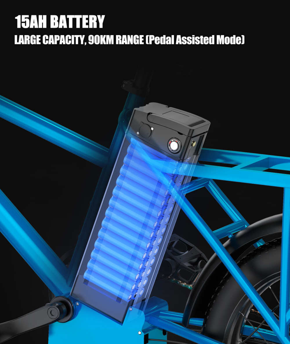 DUOTTS C20 Electric Bike Cargo Bike 48V 15Ah Removable Battery 500W Motor 45km/h Max Speed - Blue