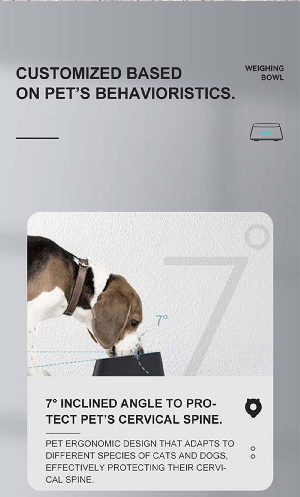 Pawbby Smart Pet Bowl, Dog Cat Puppy Food Feeder, Stainless Steel Bowl, App-based Eating Record, Feeding Plan