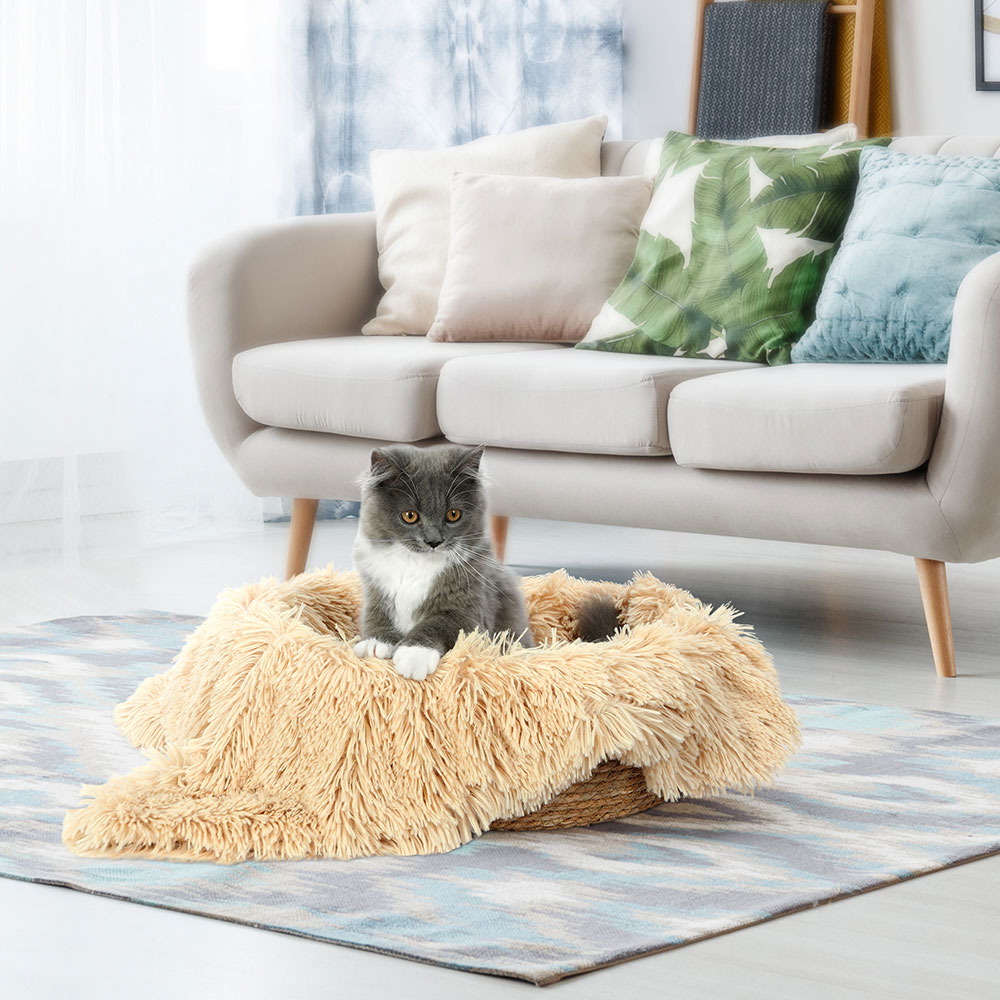 Fluffee Cat Bed with Blanket, Basket & Cushion