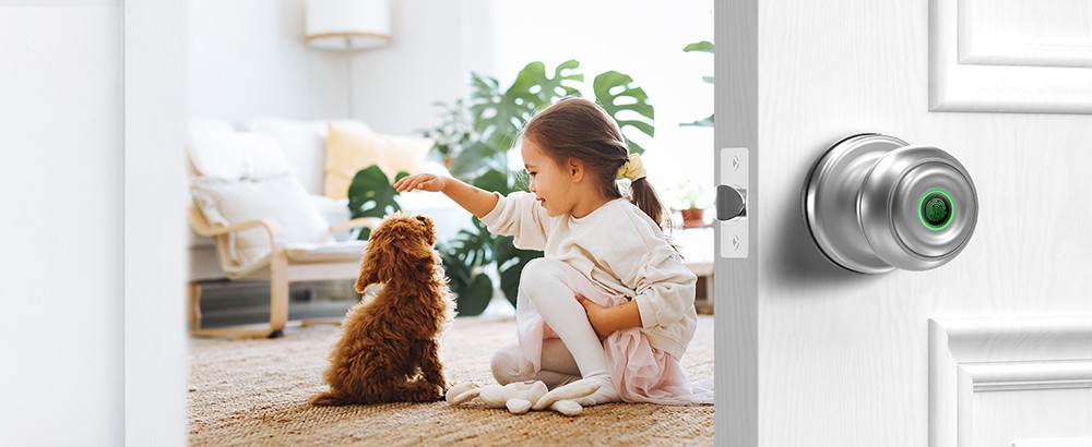 Geek Chef GeekTale K01-05 Smart Door Knob, Biometric Fingerprint Door Lock, App Control, Emergency Backup Keys Suitable for Bedrooms Cloakroom Apartments Offices Hotels - Matte Silver