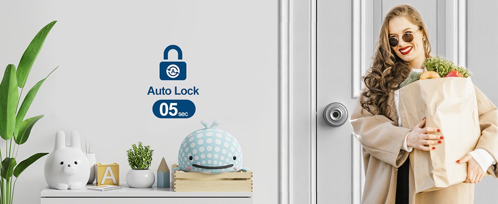 Geek Chef GeekTale K01-05 Smart Door Knob, Biometric Fingerprint Door Lock, App Control, Emergency Backup Keys Suitable for Bedrooms Cloakroom Apartments Offices Hotels - Matte Silver