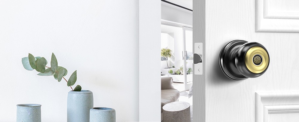 Geek Chef GeekTale K01-05 Smart Door Knob, Biometric Fingerprint Door Lock, App Control, Emergency Backup Keys - Black and Golden