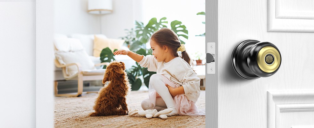 Geek Chef GeekTale K01-05 Smart Door Knob, Biometric Fingerprint Door Lock, App Control, Emergency Backup Keys - Black and Golden