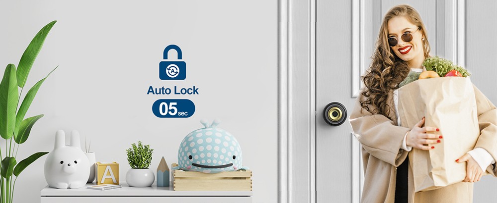 Geek Chef GeekTale K01-05 Smart Door Knob, Biometric Fingerprint Door Lock, App Control, Emergency Backup Keys - Black and Golden