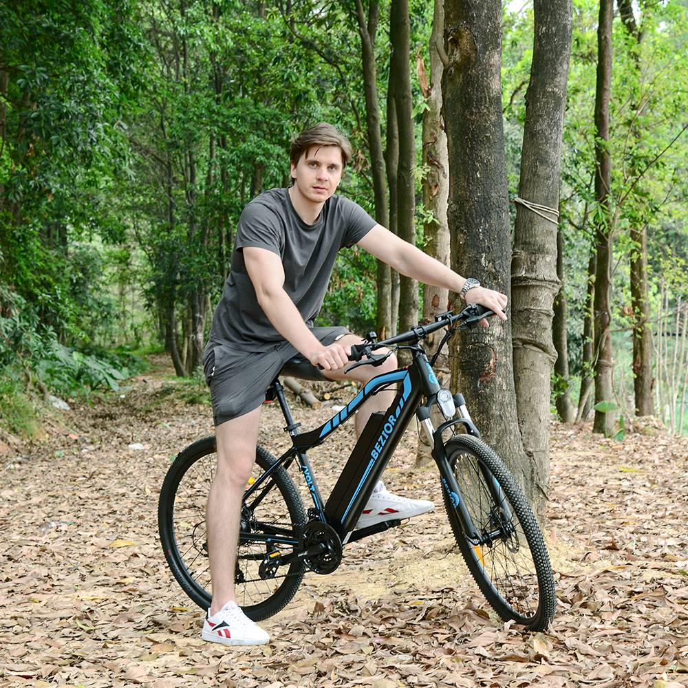 Bezior M1 Electric Bike 27.5 inch Tire 48V 12.5Ah Battery 80km Range 250W Brushless Motor 25km/h Max Speed Frame Shimano 7-speed Shift
