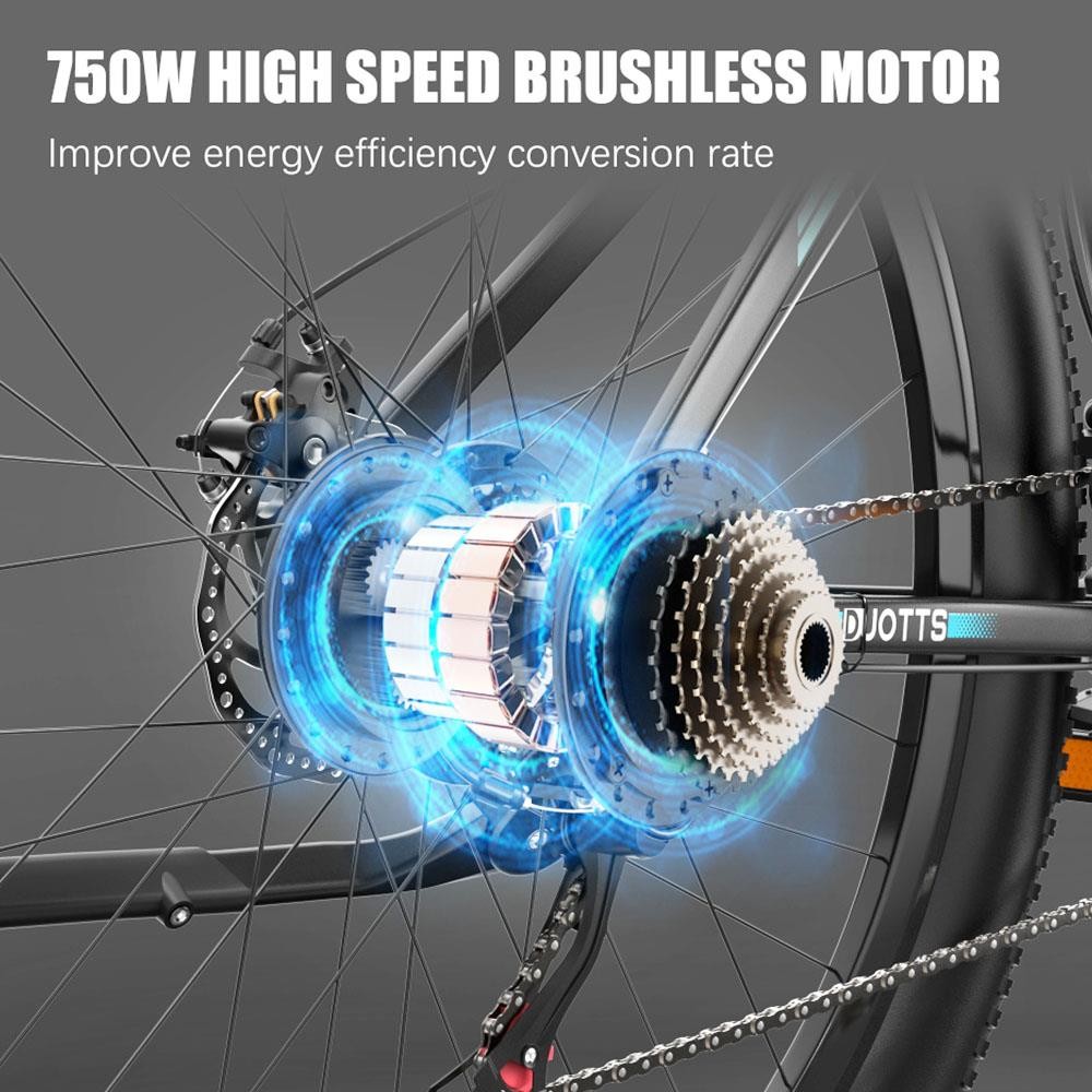 DUOTTS C29 Electric Bike 750W 29*2.1 inch Wheel 48V 15Ah Battery 50km Range 50km/h Max Speed Shimano 21 Speed Gear Electric Mountain Bike with Rear Rack