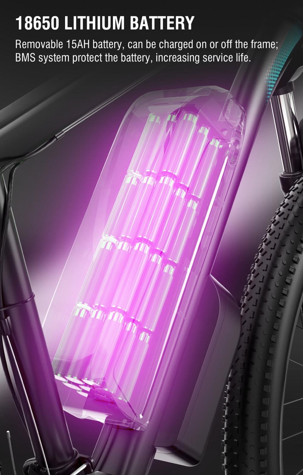 DUOTTS C29 Electric Bike 750W 29*2.1 inch Wheel 48V 15Ah Battery 50km Range 50km/h Max Speed Shimano 21 Speed Gear Electric Mountain Bike with Rear Rack