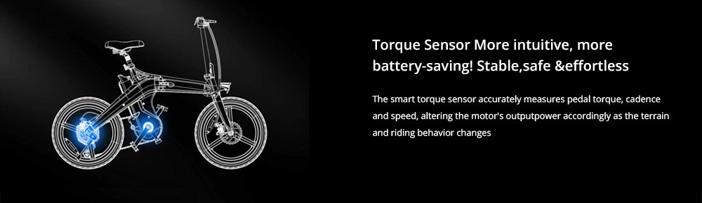 DYU T1 Electric Bike 20 Inch Tire Torque Sensor 36V 250W Motor 25Km/h Max Speed 10Ah Removable Battery Front and Rear Mechanical Disc Brakes Shimano 7-Speed Gear - Grey