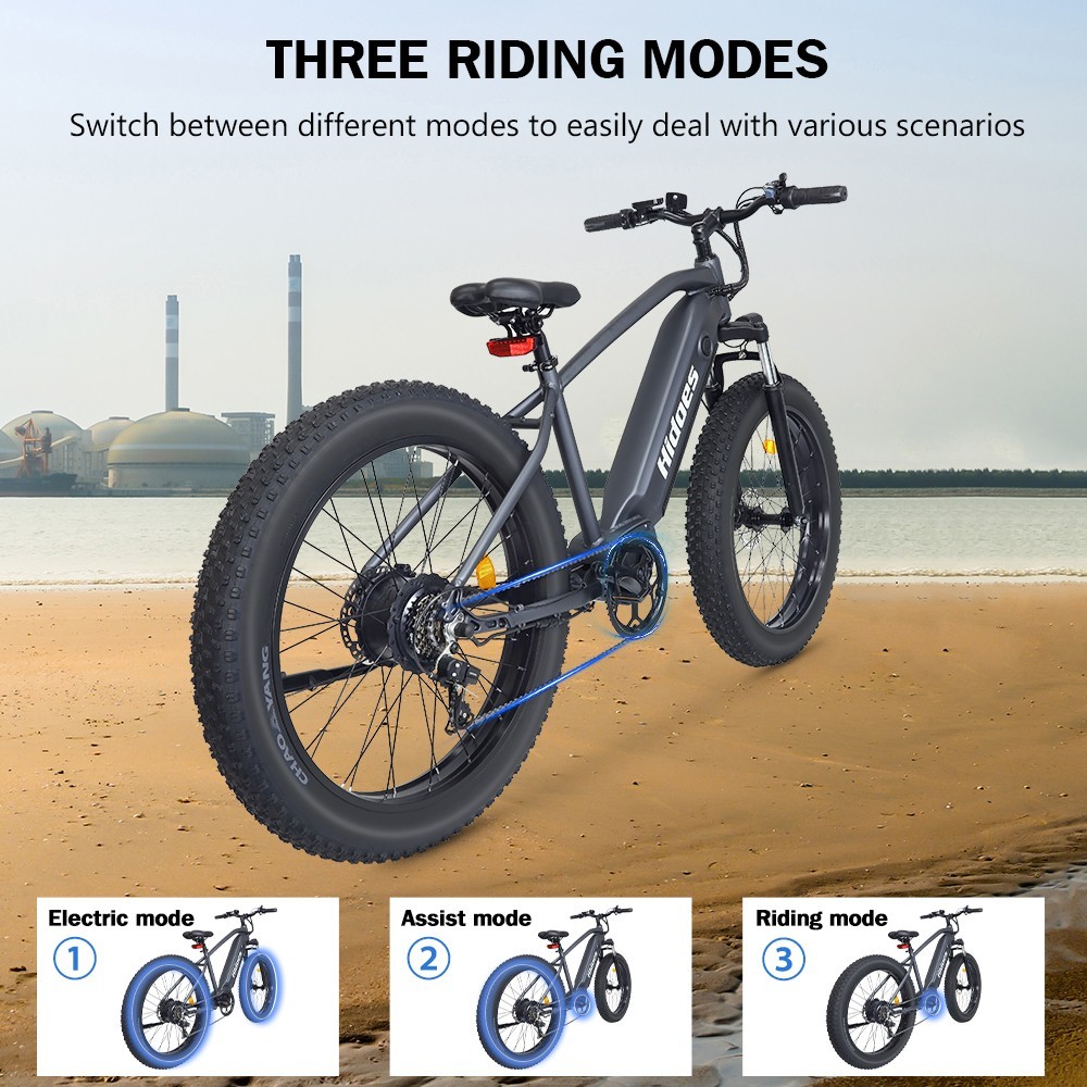 Hidoes HD-B5 Electric Mountain Bike 26*4.0in Fat Tire 1200W Brushless Gear Hub Motor 60km/h Max Speed 48V 17.5Ah Battery