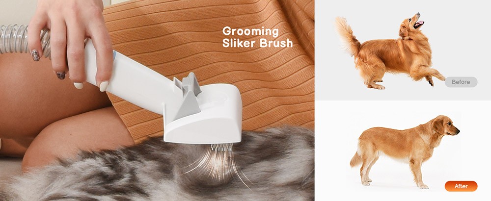 Katio Kadio M1 Dog Grooming Vacuum Kit, 10KPa Max Vacuum, 2.5L Large Dust Bin, 5 Professional Dog Grooming Tool, for Shedding Long Hair, Large Dog Thick Coats Hair - Blue