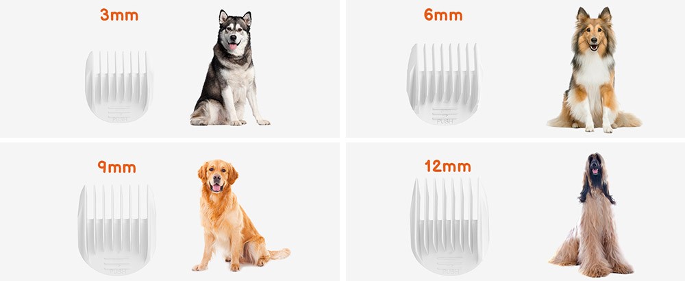 Katio Kadio M1 Dog Grooming Vacuum Kit, 10KPa Max Vacuum, 2.5L Large Dust Bin, 5 Professional Dog Grooming Tool, for Shedding Long Hair, Large Dog Thick Coats Hair - Blue