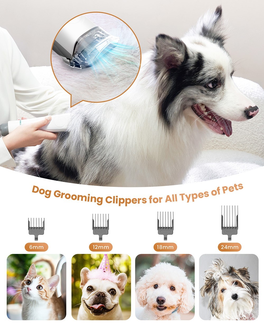 INSE P20 Dog Clipper with Pet Hair Vacuum Cleaner, Max 10KPa Suction, 1.2L Dust Box, Low Noise, Dog Cat Pet Hair Trimmer, with 5 Proven Care Tools