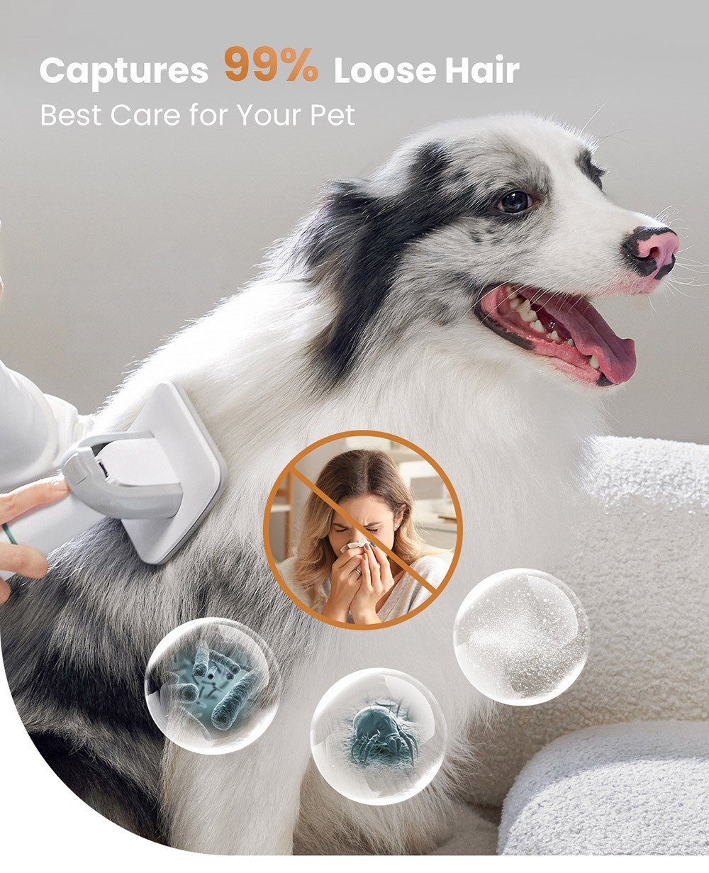INSE P20 Dog Clipper with Pet Hair Vacuum Cleaner, Max 10KPa Suction, 1.2L Dust Box, Low Noise, Dog Cat Pet Hair Trimmer, with 5 Proven Care Tools
