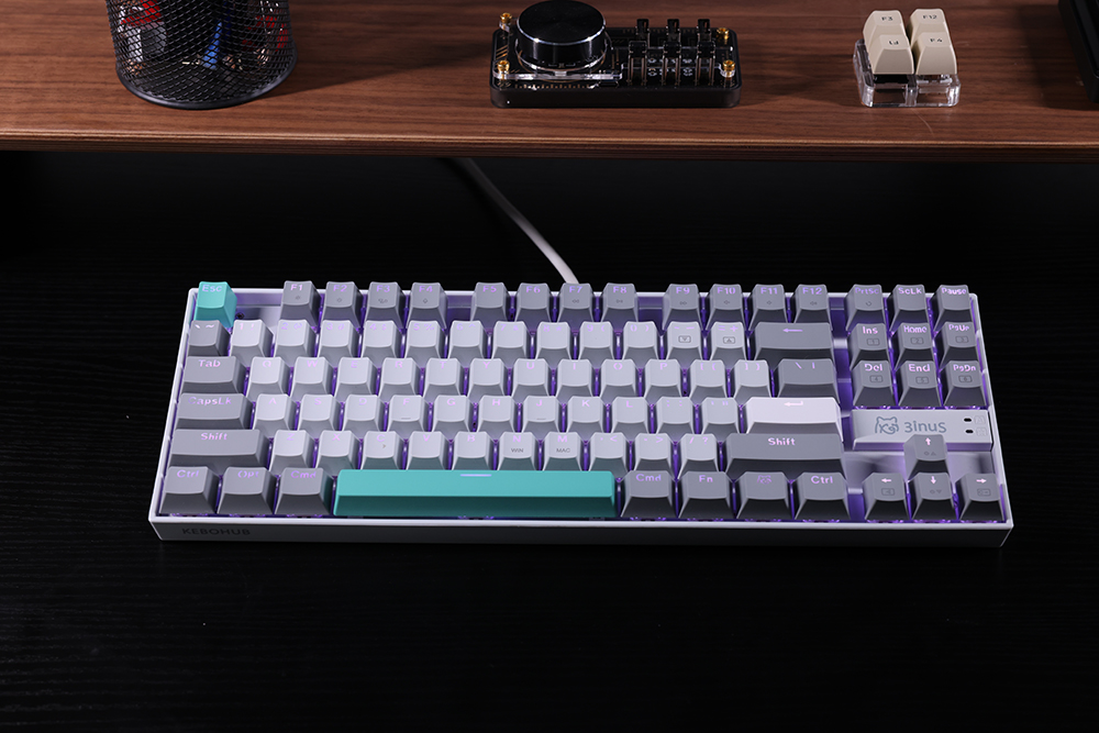 3inuS 87-Key 5-in-1 Mechanical Keyboard Hub Dual USB-C Cable Hot-Swappable - Blue Switches