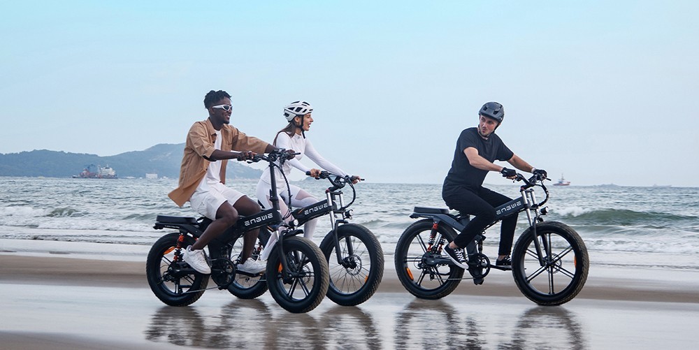 ENGWE X24 Electric Bike 48V 1000W Motor 19.2Ah & 10Ah Dual Battery for 95 Miles Range, 24*4.0 inch Fat Tire - Grey
