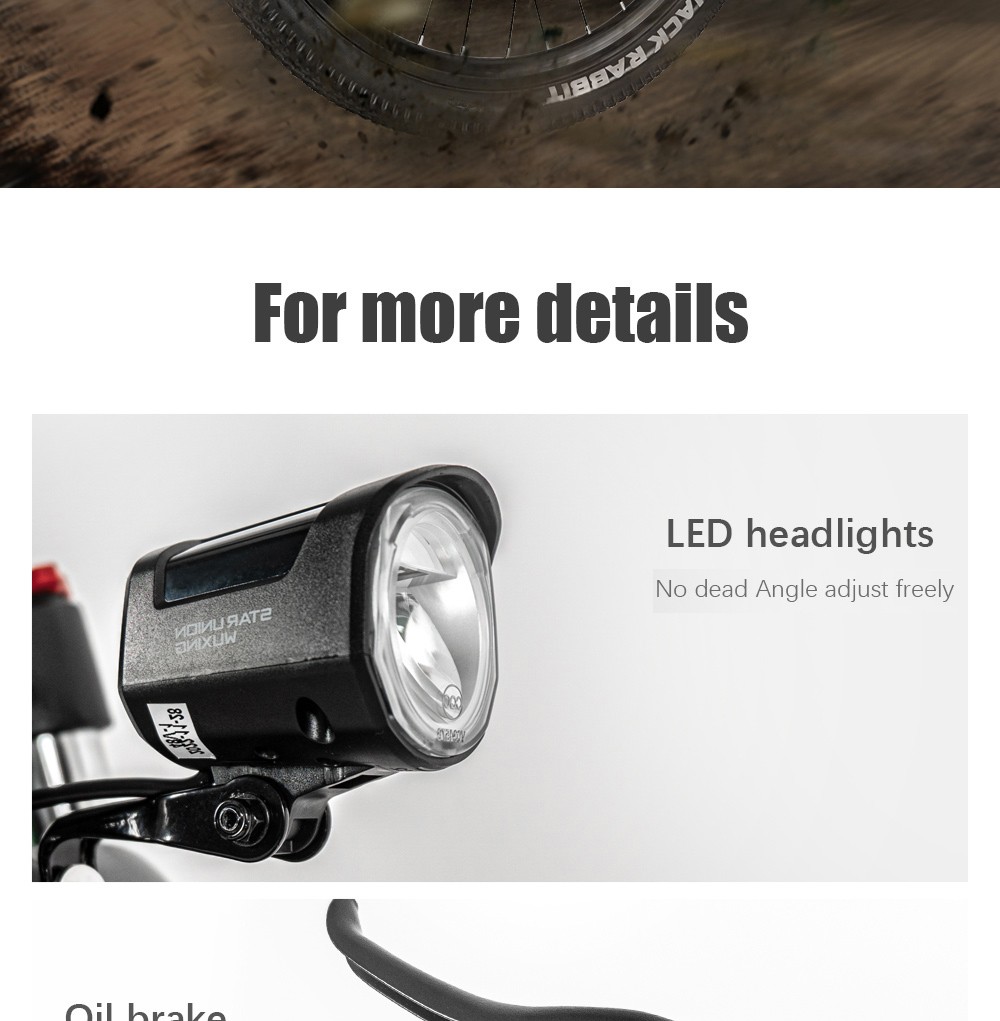 CMACEWHEEL TP26 Mini Electric Bike 29*2.25'' CST Tire 750W Motor 40-45km/h Max Speed 17Ah Battery 150kg Load