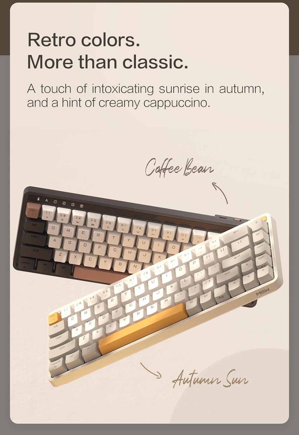 MIIIW ART Series K19 Three Modes Wireless Mechanical keyboard 68 Keys - Coffee Bean