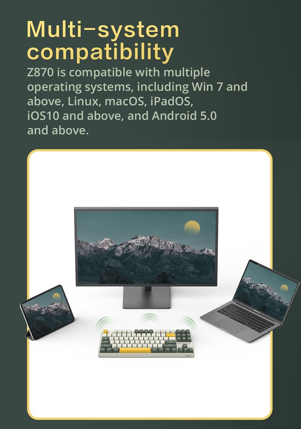 MIIIW ART Series Z870 Three modes Wireless Mechanical Keyboard