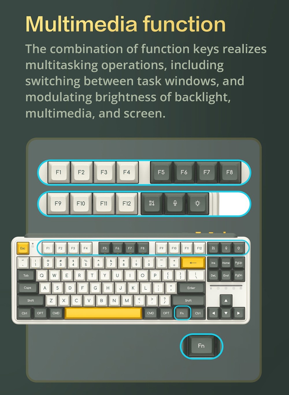 MIIIW ART Series Z870 Three modes Wireless Mechanical Keyboard