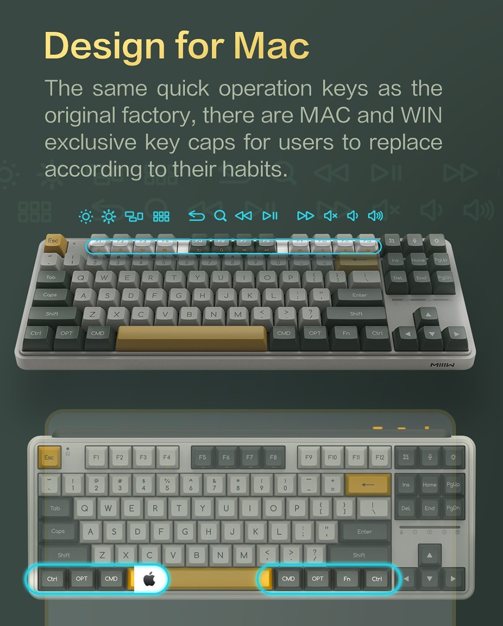 MIIIW ART Series Z870 Three modes Wireless Mechanical Keyboard