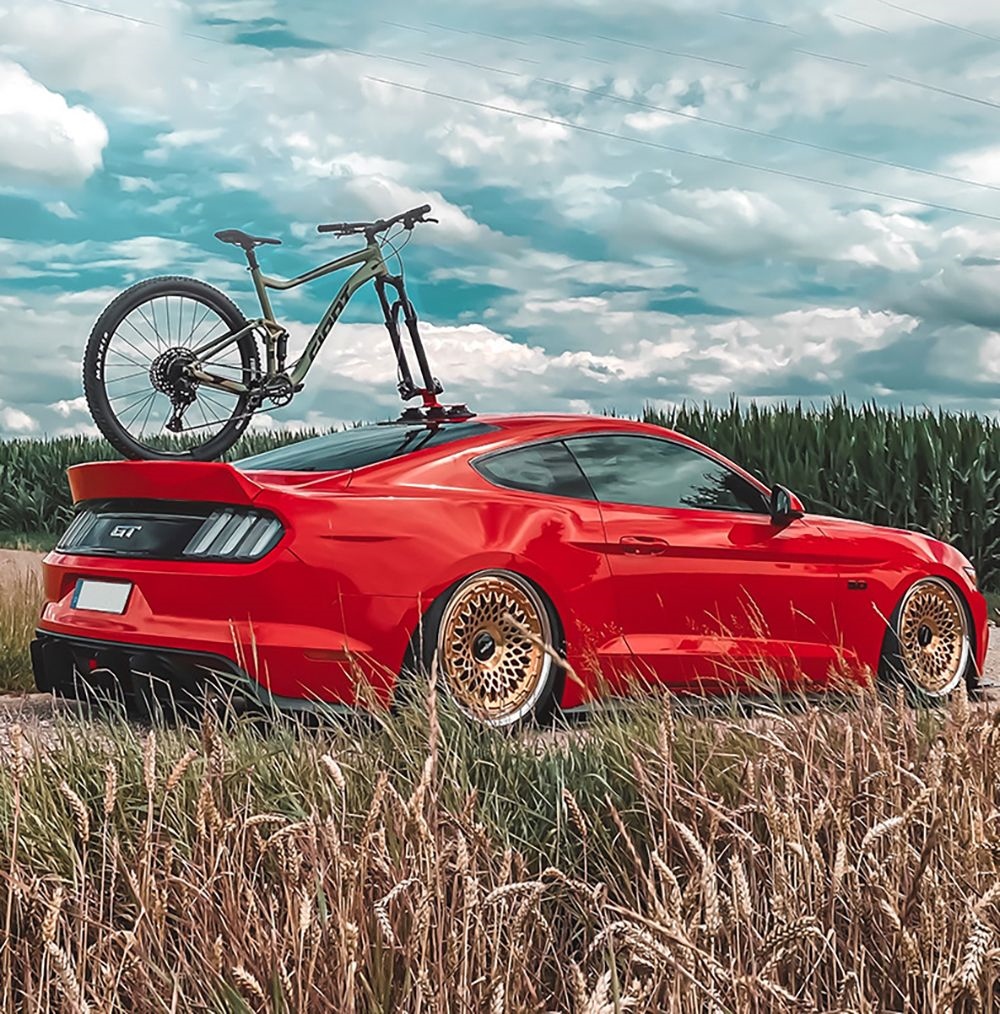 ROCKBROS Suction Cup Bike Rack for Car Roof Top, Quick Release Aluminium Alloy Bike Carrier with Sucker for 1 Bike - Red