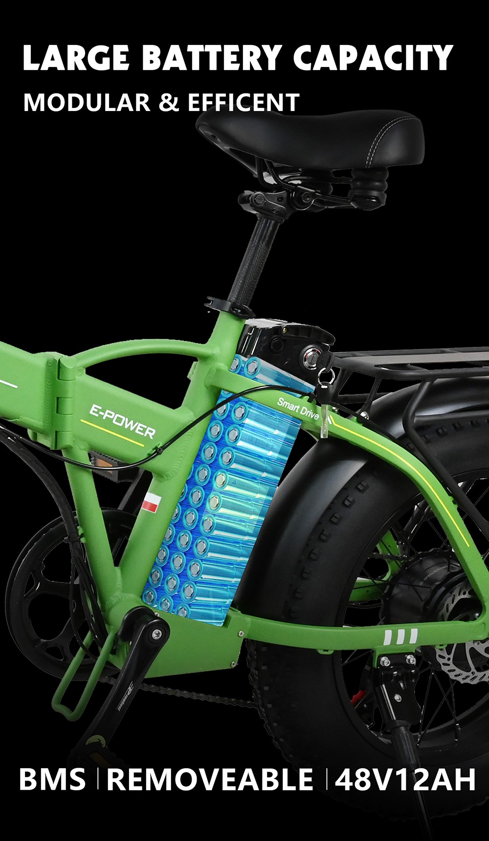 BAOLUJIE DZ2001 Folding Electric Bike, 48V 12Ah Battery 500W Motor 20*4.0inch Tires 45km/h Max Speed 30-40km Range Disc Brake - Green