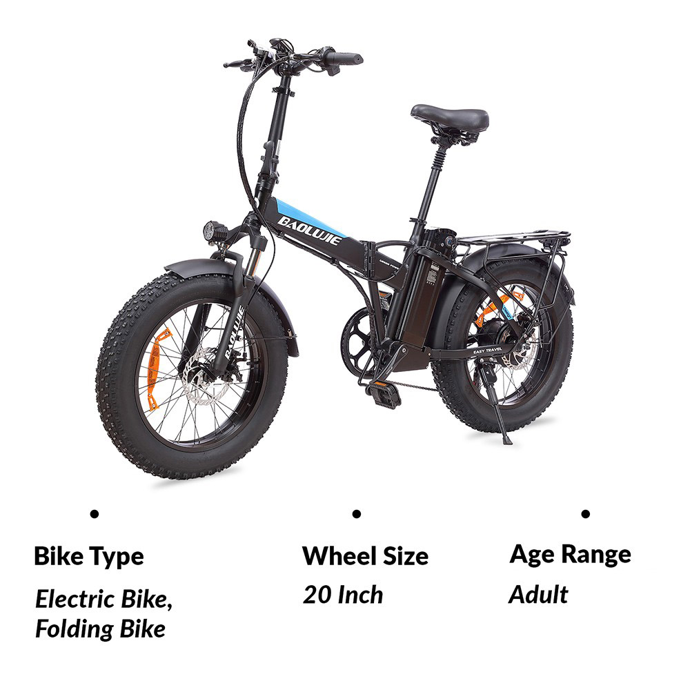 BAOLUJIE DZ2001 Folding Electric Bike, 48V 12Ah Battery 500W Motor 20*4.0inch Tires 45km/h Max Speed 30-40km Range Disc Brake - Black