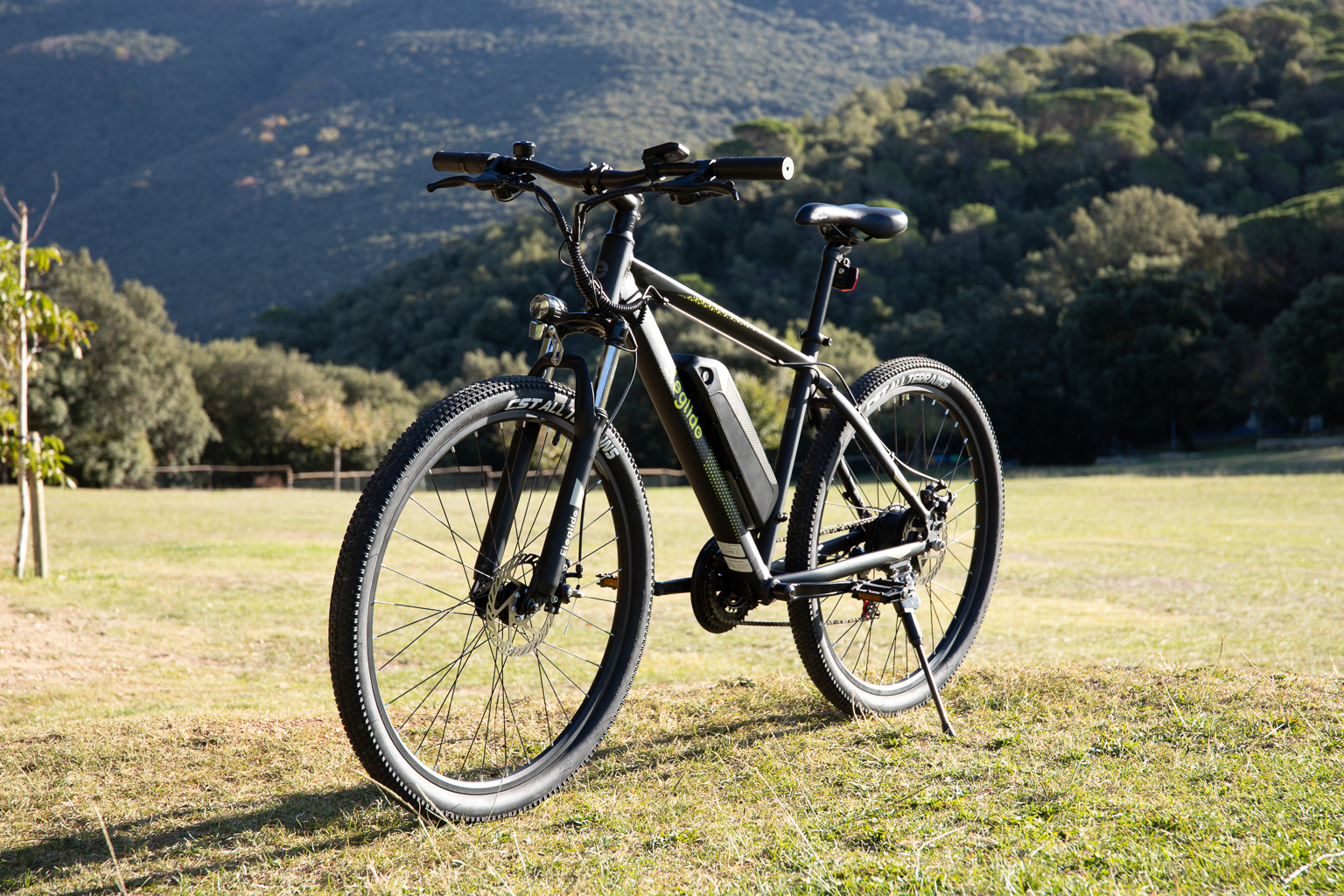 Eleglide M1 PLUS 29 inch Electric Bike 36V 12.5Ah Battery 100KM Range 250W Brushless Motor 25Km/h Max Speed Shimano 21 Speed Gear 100KM Top Range Dual Disc Brakes Cozy Foam Saddle 29