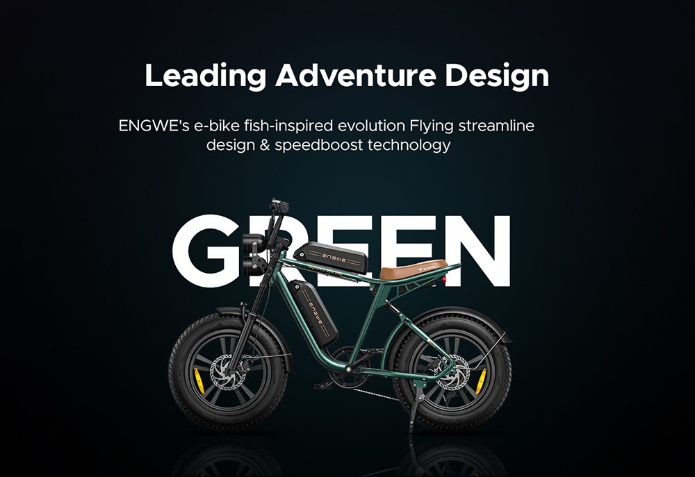 ENGWE M20 Electric Bike 20*4.0'' Fat Tires 750W Brushless Motor 45km/h Max Speed 48V 13Ah Battery 75km Range - Green