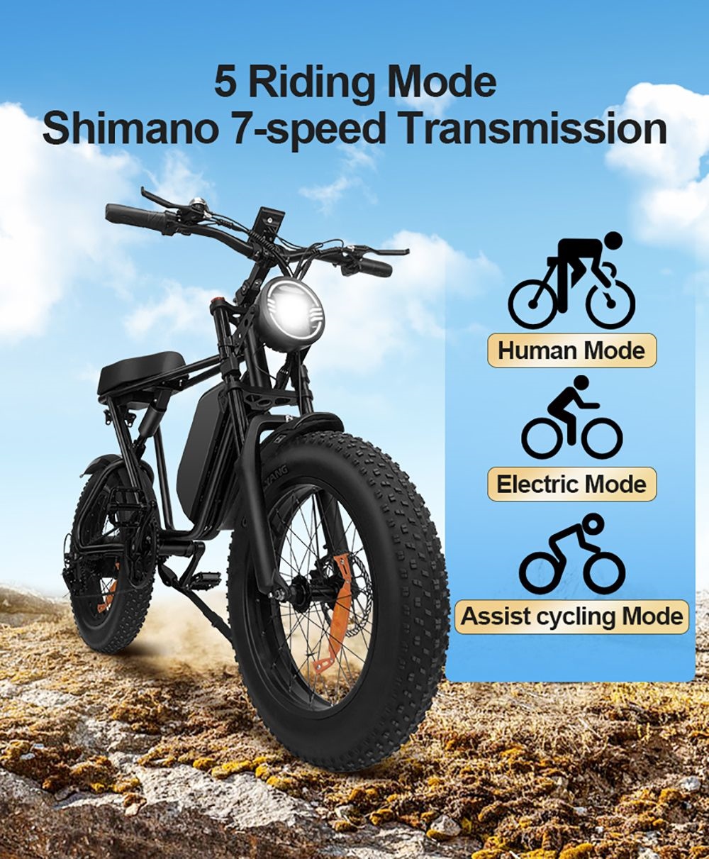 Q8 Off-road Electric Bike, 20*4 inch Fat Tire 1000W Motor 48V 17.5Ah Battery 55km/h Max Speed 70Km Max Range