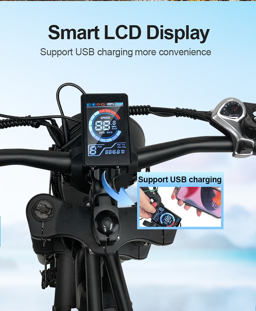 Q8 Off-road Electric Bike, 20*4 inch Fat Tire 1000W Motor 48V 17.5Ah Battery 55km/h Max Speed 70Km Max Range