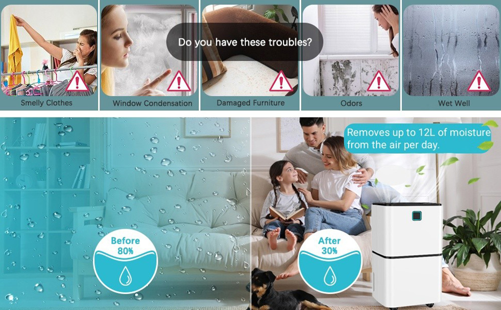 LUKO OL12-BD023F Portable Home Dehumidifier, 12L Dehumidify Capacity, 3 Modes, Auto Defrosting, Auto/Manual Drainage, 12-Hour Timer, LED Touch Screen, Low Noise, Clothes Drying