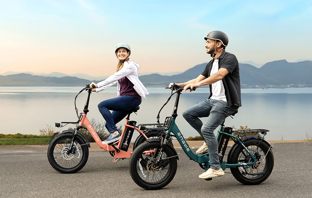 ENGWE L20 2.0 Electric Bike, 20*3.0-inch Tires, 750W Hub Motor, 52V 13Ah Battery, 28mph Max Speed, 84miles Range, Mechanical Disc Brake, Shimano 7 Speed - Black