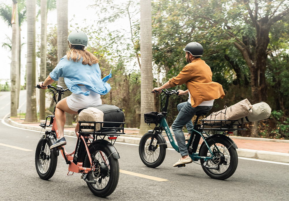 ENGWE L20 2.0 Electric Bike, 20*3.0-inch Tires, 750W Hub Motor, 52V 13Ah Battery, 28mph Max Speed, 84miles Range, Mechanical Disc Brake, Shimano 7 Speed - Black