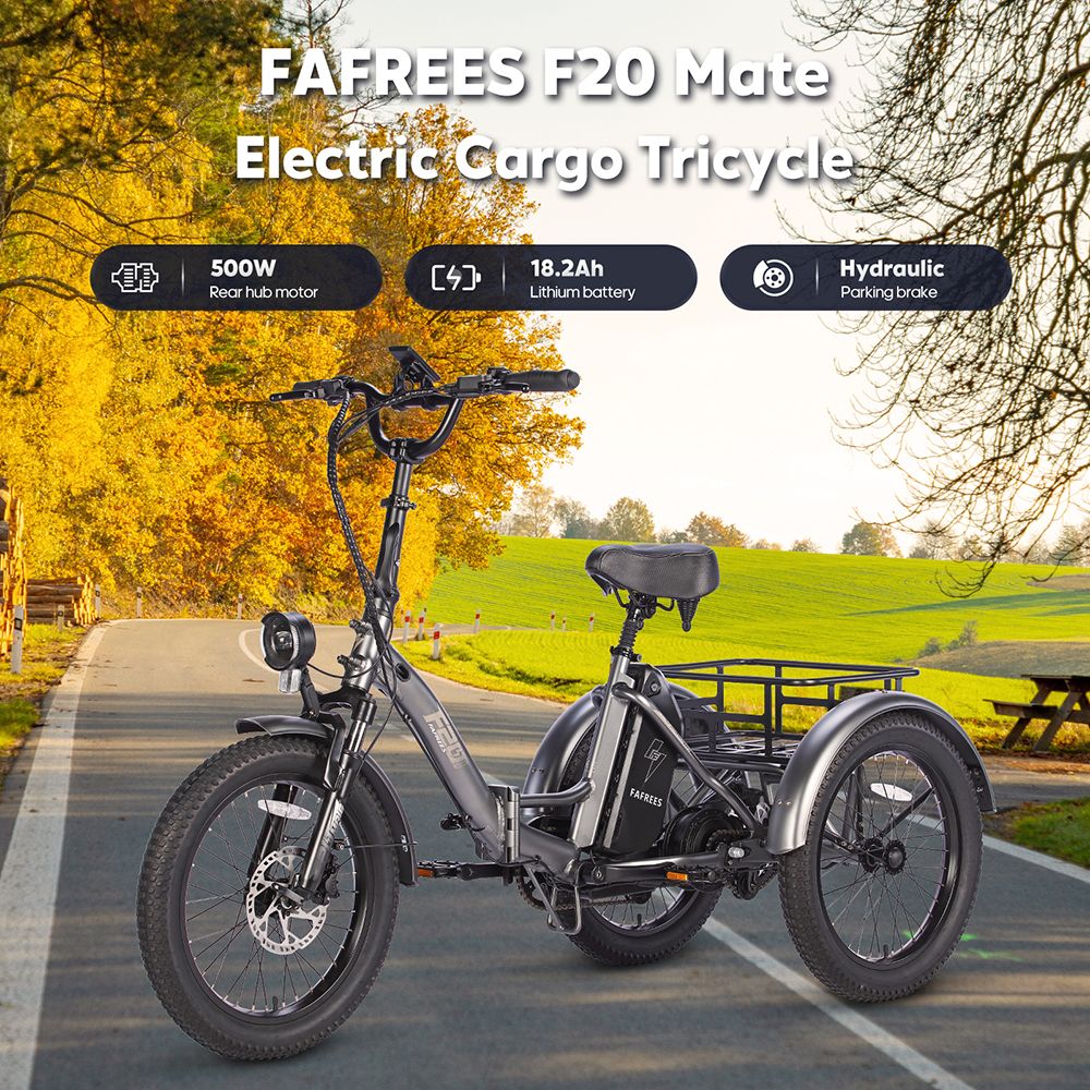 FAFREES F20 Mate Electric Tricycle, 500W Brushless Motor, 48V/18.2Ah Battery, 20*3.0-inch Fat Tires, 25km/h Max Speed, 110km Max Range, Hydraulic Disc Brakes - Grey