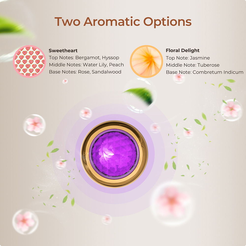 Refurbished JIGOO T600 Bed Mattress Vacuum Cleaner Grey-EU-Dual Cup Design-99.99% Dust Mite Removal with Aroma-Diffused System