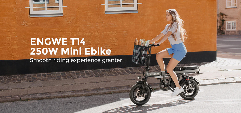 ENGWE T14 14 Inch Folding Electric Bike 250W Mini Electric Bike 25km/h City Commuter 48V 10AH Removable Lithium Battery Portable and Easy to Store - Grey