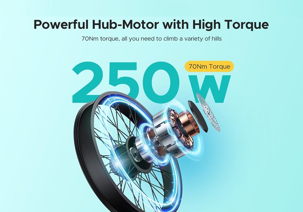 ENGWE E26 ST Elektrofahrrad, 48V 16AH Akku, 250W