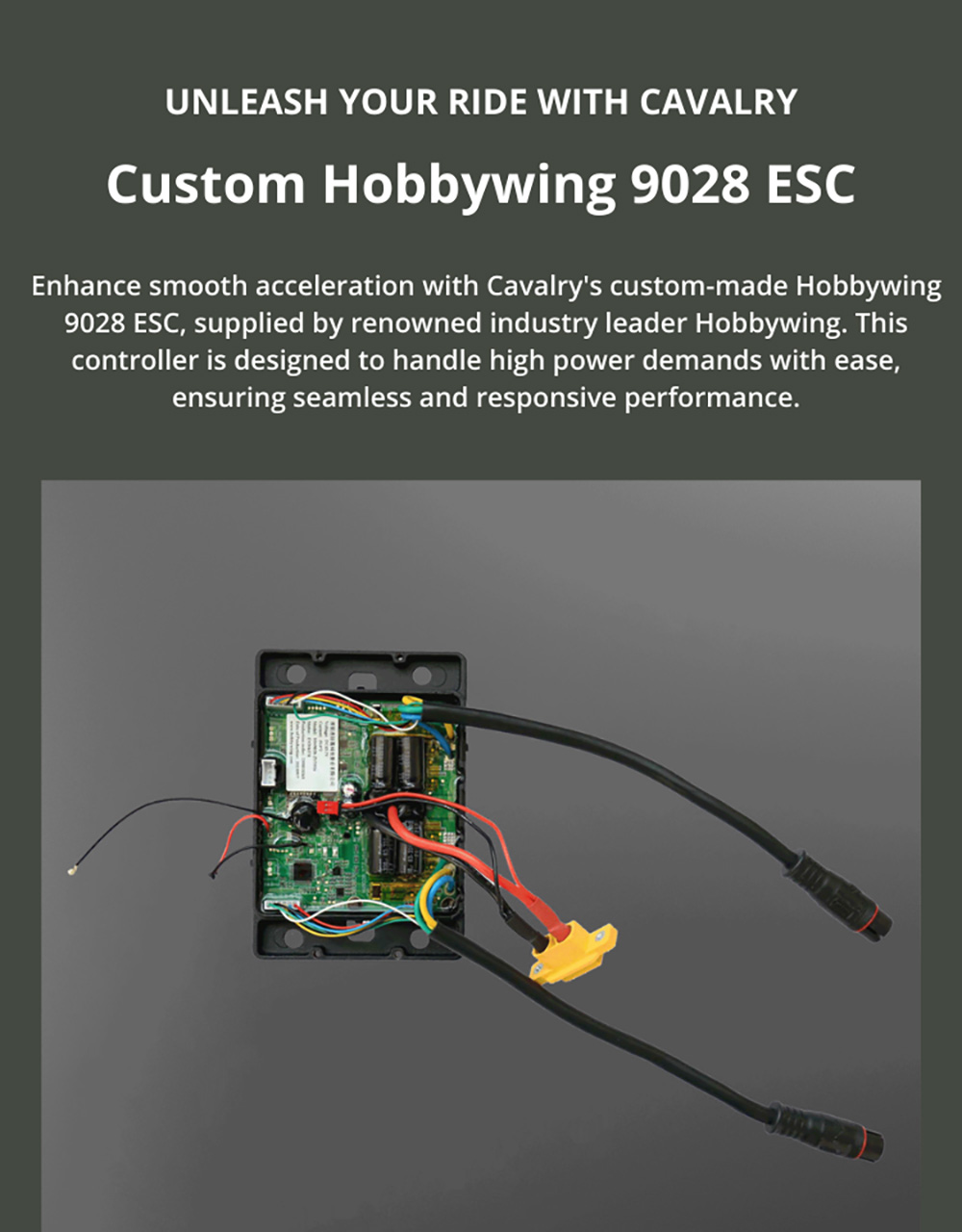 OMW Cavalry Electric Skateboard, 3500W Max Power, 43.2V 20AH Battery, 37mph Max Speed, 34 miles Range - MM-Medium Flex