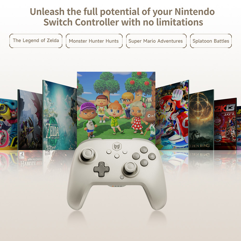 BIGBIG WON CHOCO Wireless Game Controller, Custom Button, 6-Axis Gyro, 128-Step Macro Programming - Grey