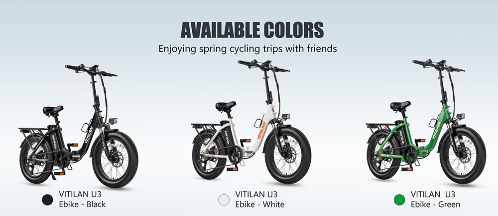 Vitilan U3 Electric Bike, 750W Motor, 48V 13AH Battery, 20*4.0-inch Tires, 45km/h Max Speed, 65km Max Range, Mechanical Disc Brake, Suspension Front Fork, Shimano 7 Speed, LCD Display - Green