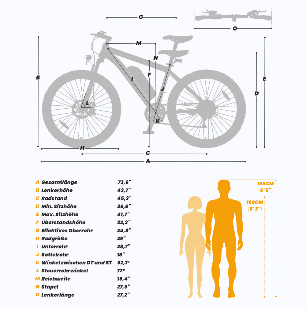 Touroll U1 Elektrofahrrad 29 MTB mit 250W Motor, 13Ah herausnehmbarer Lithium-Ionen-Akku, 65KM max. Fahrtstrecke, 29x2,25'' CST Geländereifen, 21-Gang Shimano Schaltung