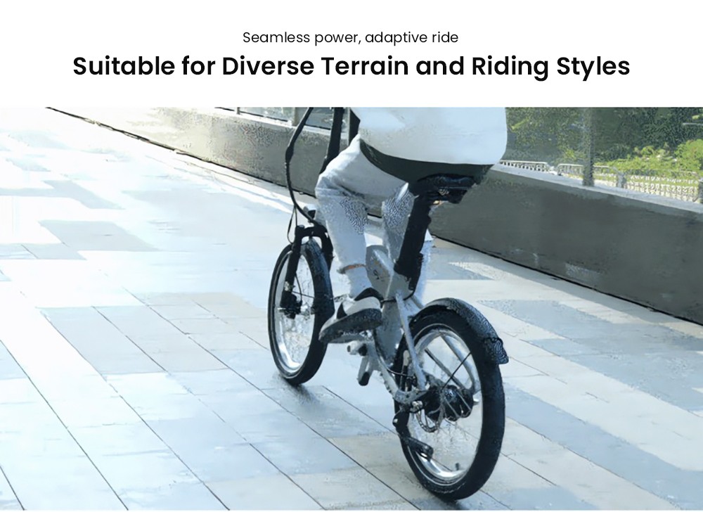 PVY LIBON Elektrofahrrad, 500-W-Motor, 36 V 20,4 Ah, 20 x 2,5-Zoll-Reifen, 25 km/h Höchstgeschwindigkeit, 260 km Reichweite, hydraulische Scheibenbremse, Stoßdämpfungsgabel, LCD-Display – Grau