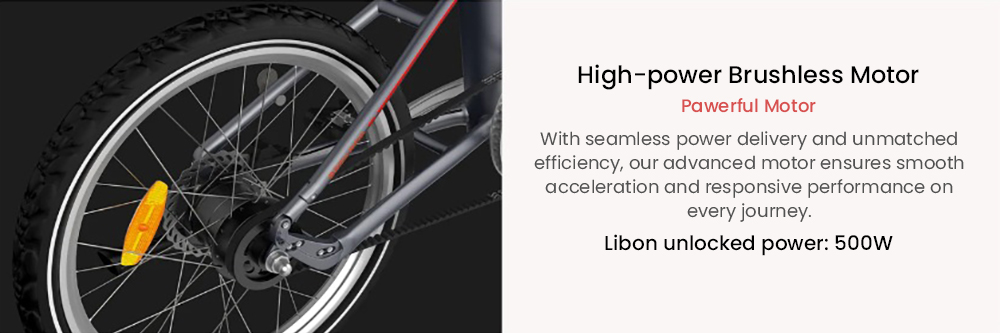 PVY LIBON Elektrofahrrad, 500-W-Motor, 36 V 20,4 Ah, 20 x 2,5-Zoll-Reifen, 25 km/h Höchstgeschwindigkeit, 260 km Reichweite, hydraulische Scheibenbremse, Stoßdämpfungsgabel, LCD-Display – Grau