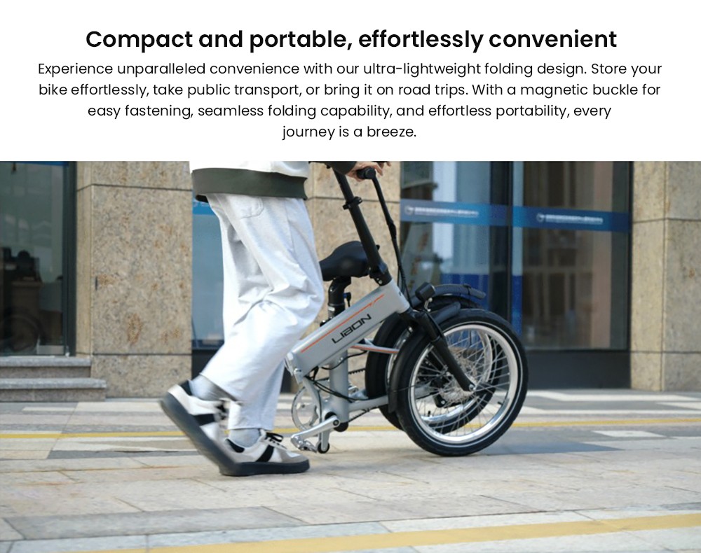 PVY LIBON Elektrofahrrad, 500-W-Motor, 36 V 20,4 Ah, 20 x 2,5-Zoll-Reifen, 25 km/h Höchstgeschwindigkeit, 260 km Reichweite, hydraulische Scheibenbremse, Stoßdämpfungsgabel, LCD-Display – Grau