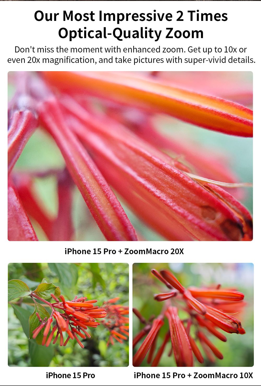 APEXEL ZM100 Smartphone Macro Lens, 10-20X Magnification, Ultra-large F1.05 Aperture, DSLR Camera Effect, 1.5-4.5cm Focus Distance