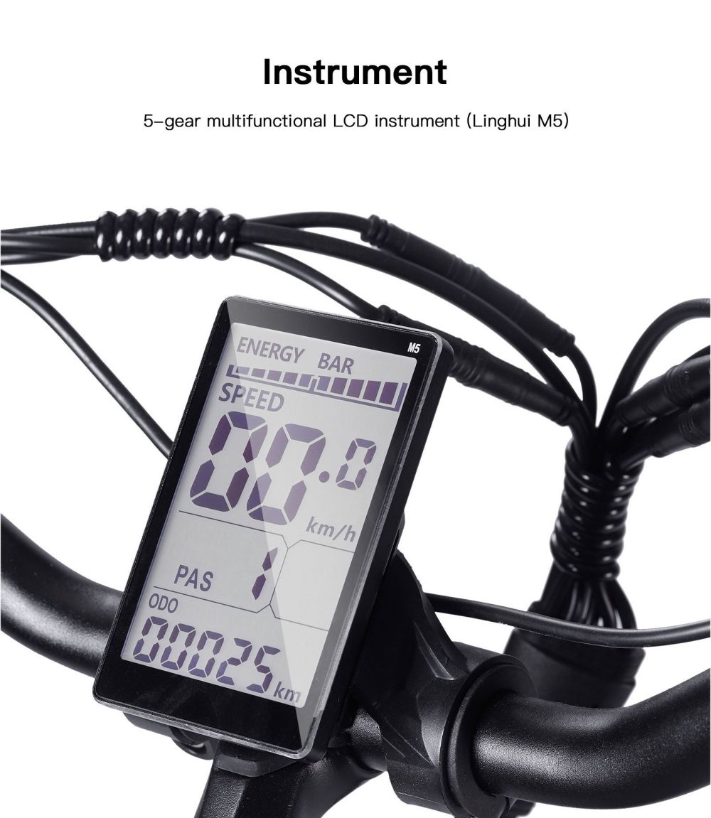 Refurbished Bezior XF001 Retro Electric Bike 12.5Ah 48V 1000W Brushless Motor 20 Inch 45Km/h Max Load 120kg