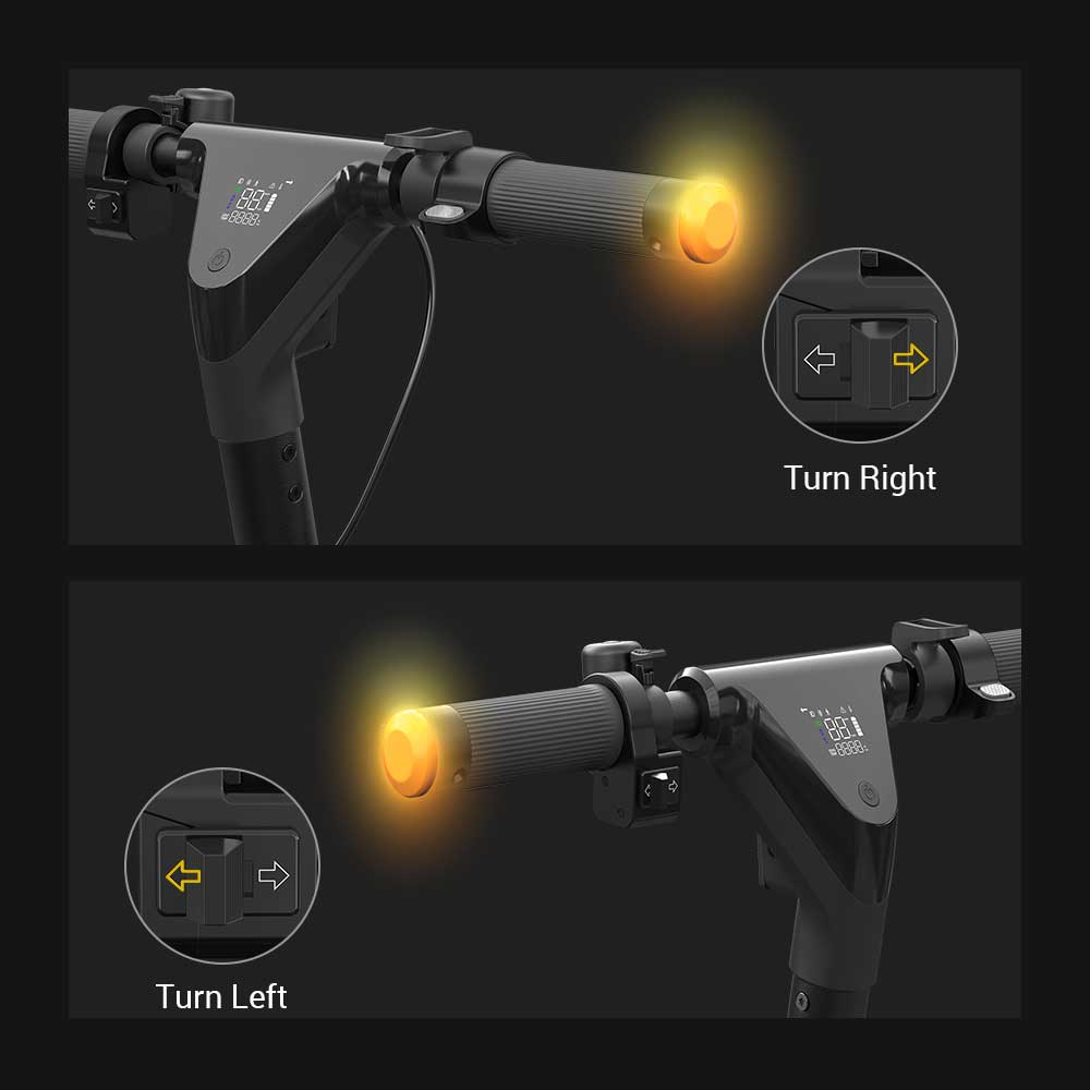 Eleglide Coozy 36V 12.5Ah 350W 55km Range Electric Scooter 25km/h Max Speed