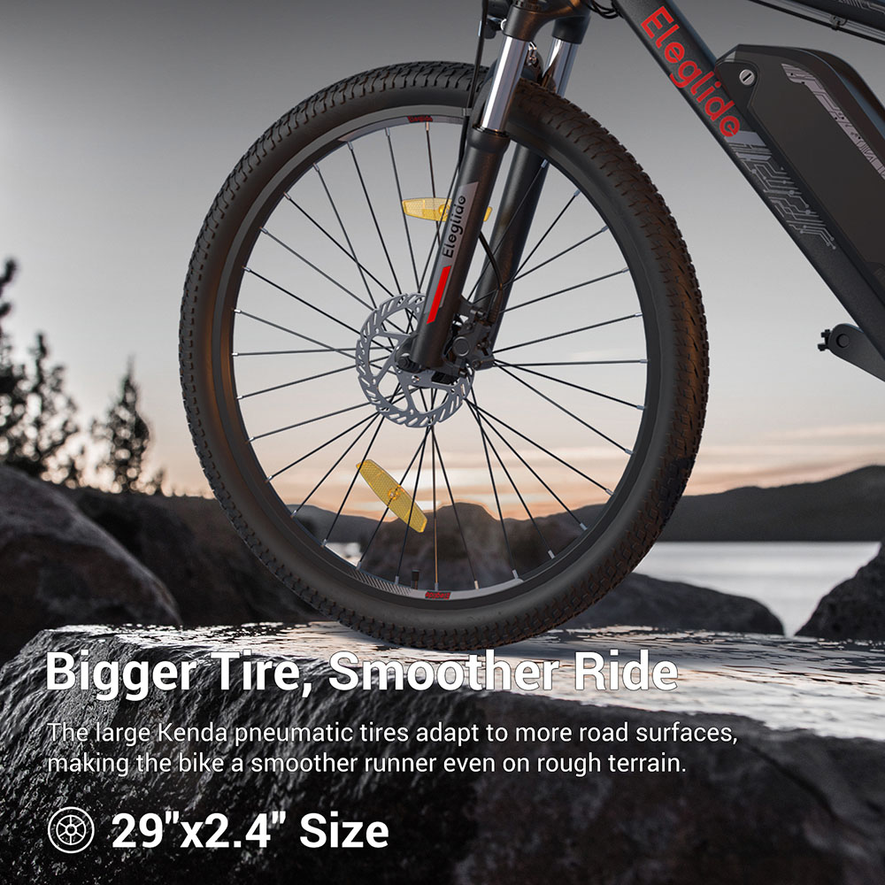 Eleglide M2 29' x 19' Electric Moped Bike 36V 15.6AH 250W