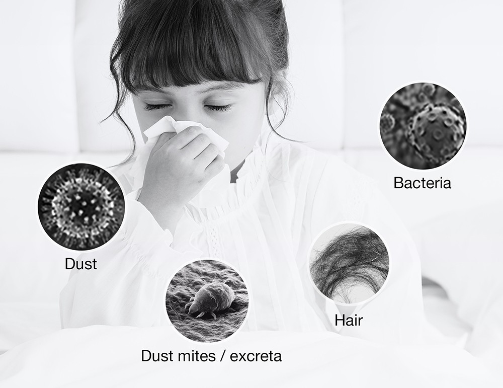 JIMMY BX6 Pro Double Cup Anti-mite Vacuum Cleaner, 245mm Suction Inlet, 0.5L Dust Cup Capacity, Smart Dust Sensor